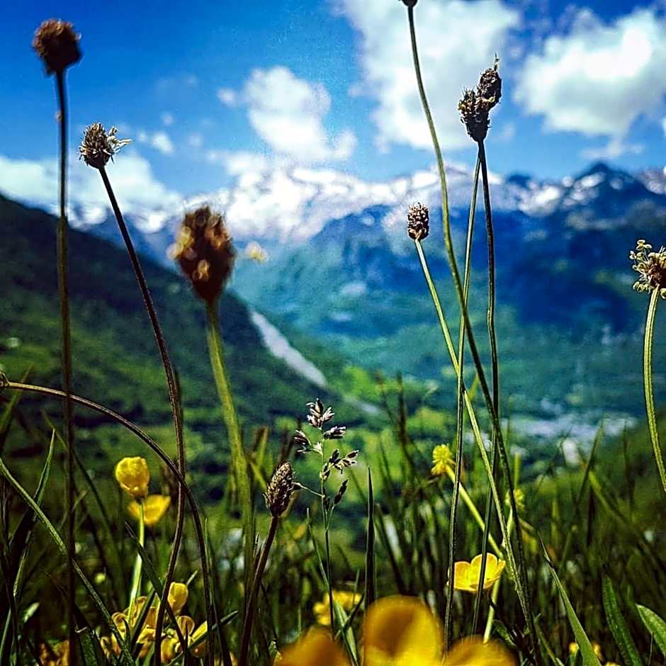 Les Sorbiers Barèges