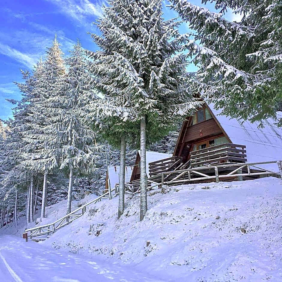 Romantica Forest Guest House