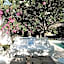 Spa Villas at Oazia