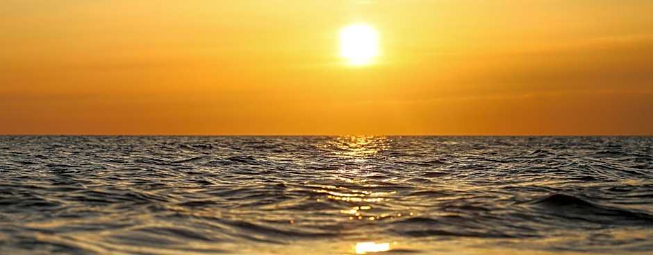 Ośrodek Wypoczynkowy CHAMPION