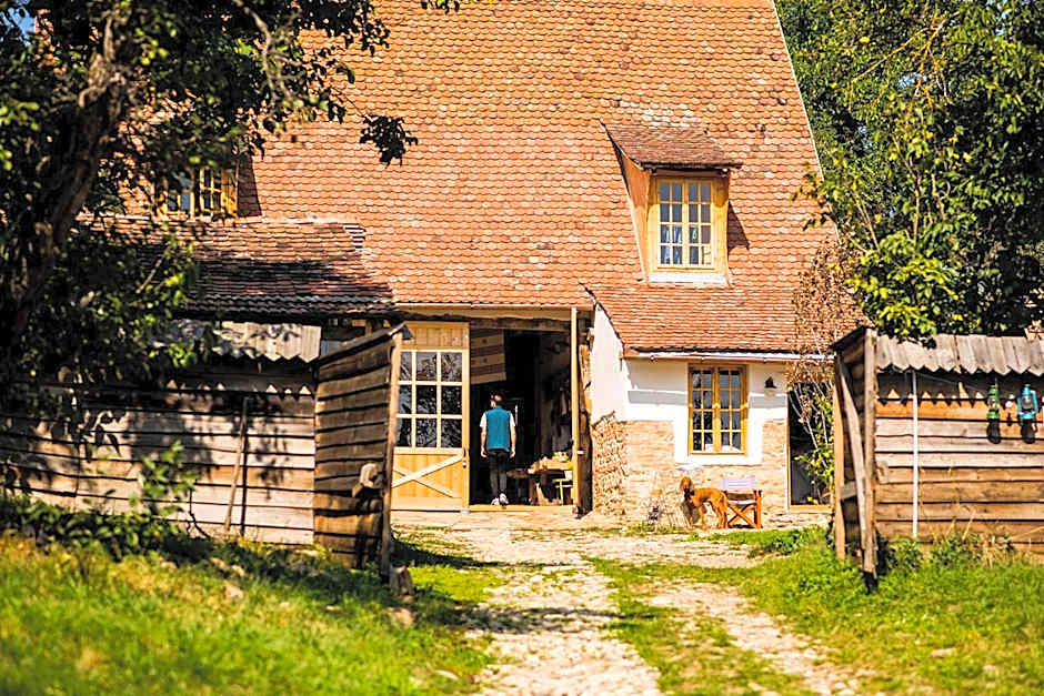 Viscri 32 - White Barn and Blue House