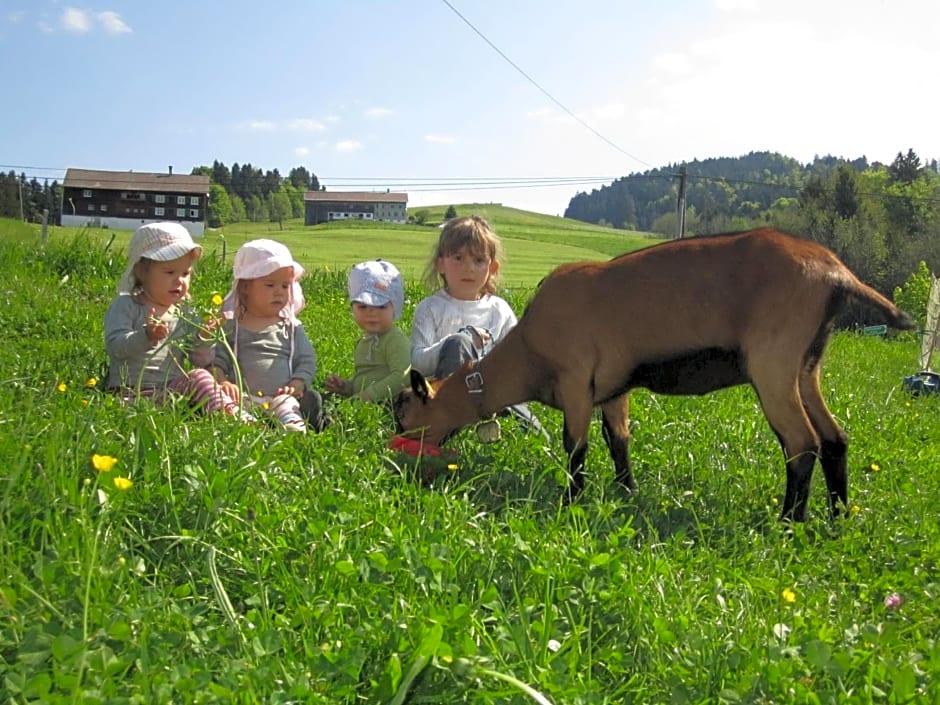 Bauernhof Bilgeri