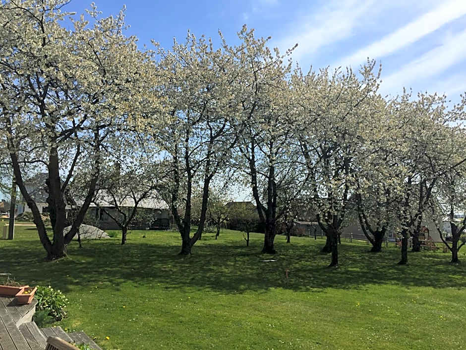 Chambres D'hôtes le clos de la Bertinière petit déjeuner inclus