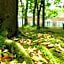 Forest Villa Huis Ten Bosch