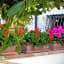 Villa Il Fortino