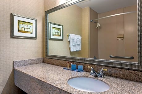 1 King Bed Deluxe Room Non-Smoking