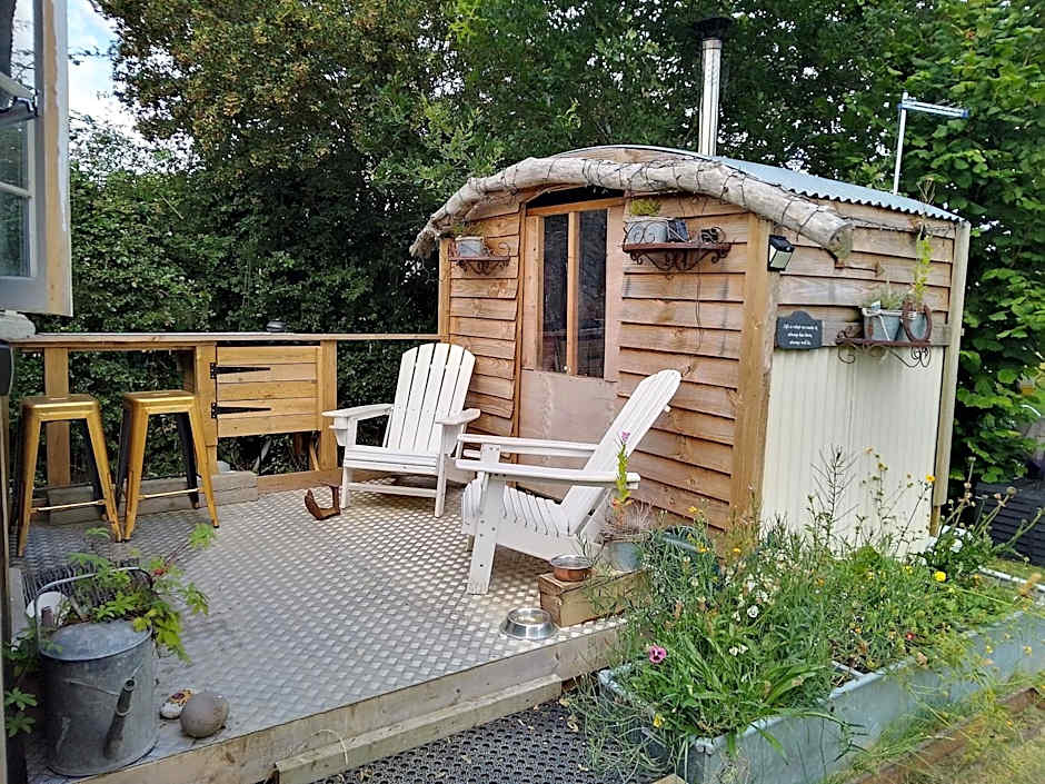 Mr Hares shepherd hut