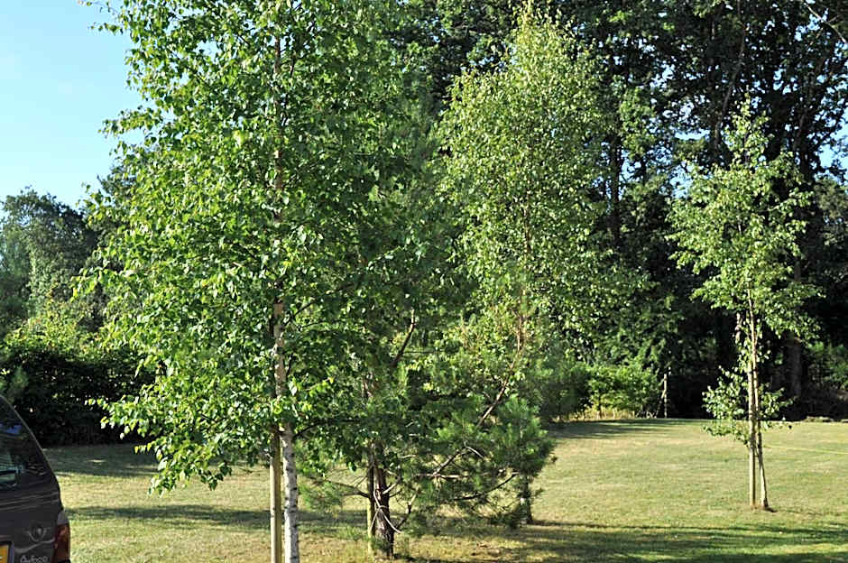 The Originals City, Hotel Anaiade, Saint-Nazaire (Inter-Hotel)