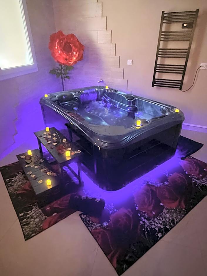 Le Cocon SPA Évasion Privée - jacuzzi -