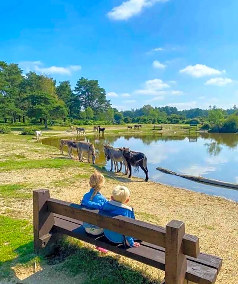 The Roecliffe, Holiday mid-lodge, Shorefield Country Park