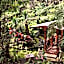 Chalet Kilauea