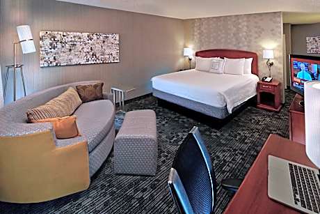 Room, 1 King Bed with Sofa bed (Mobility/Hearing Access, Roll-In Shwr)