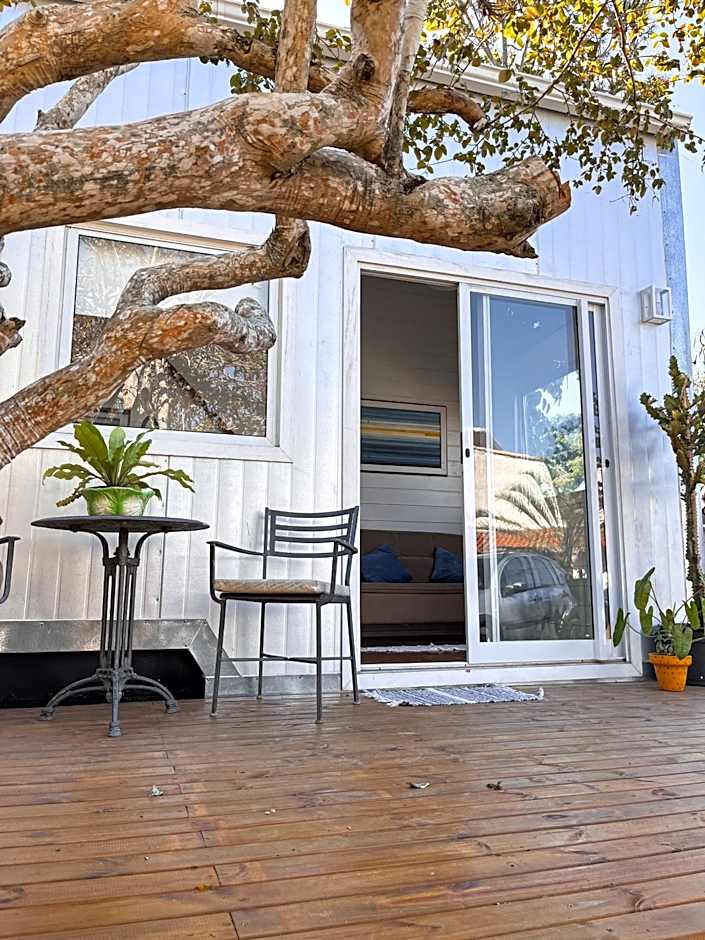 Peixe Crew Manguinhos