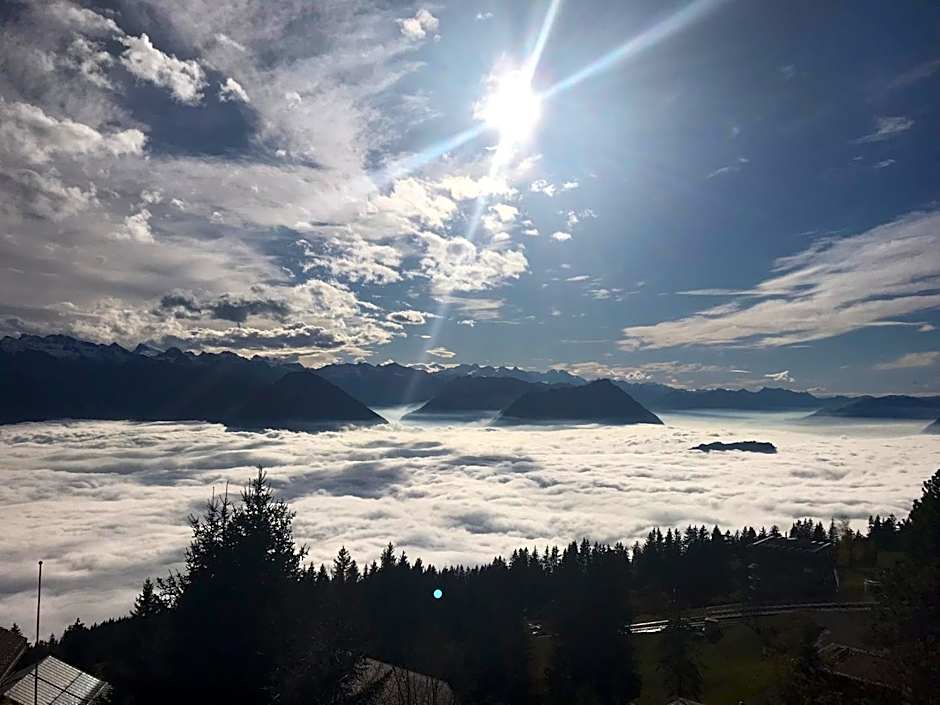 Hotel Bergsonne Rigi Kaltbad