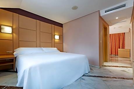 Superior Double Room with lounge