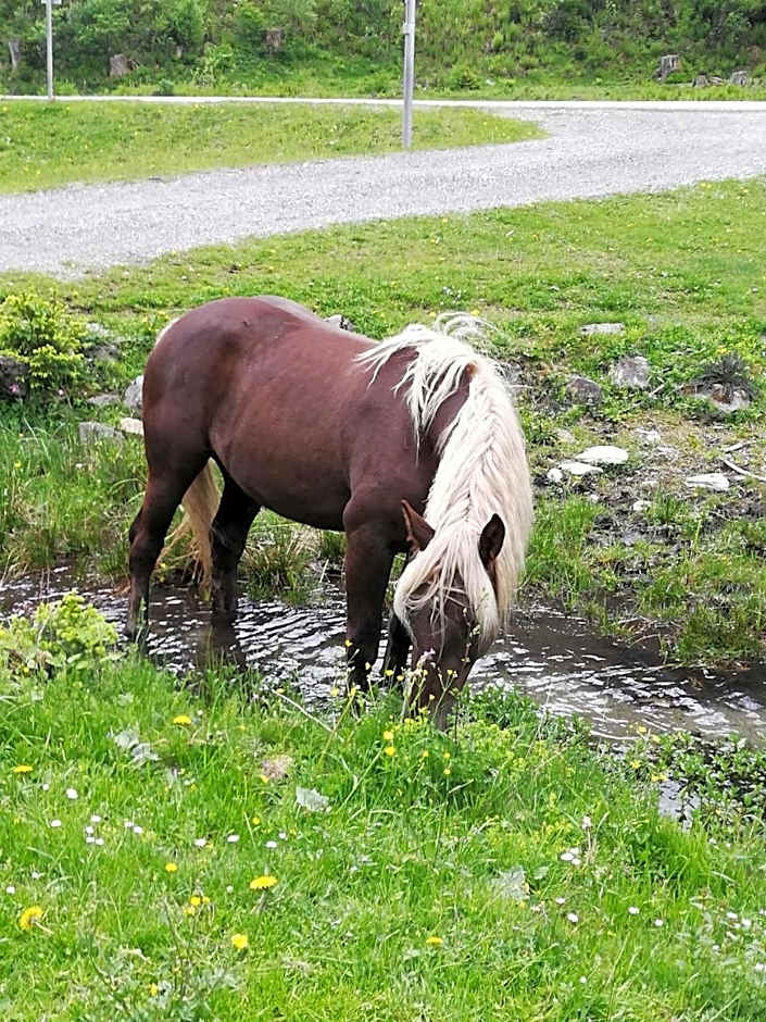 Alpengasthof Gutenbrunn