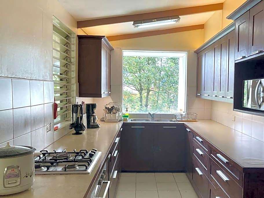 Mid-Century Modern Centrally Located Garden Oasis