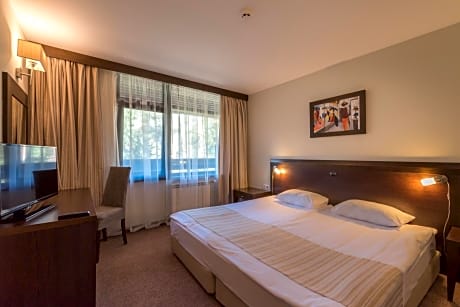 Standard  Double Room with Free Spa Access 