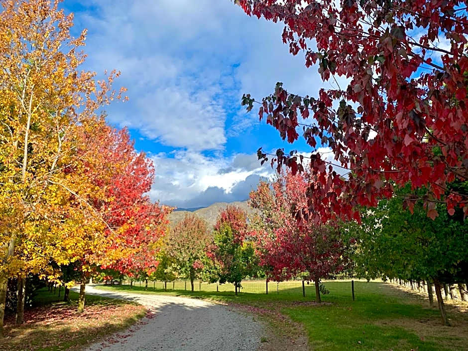 Queenstown Country Lodge