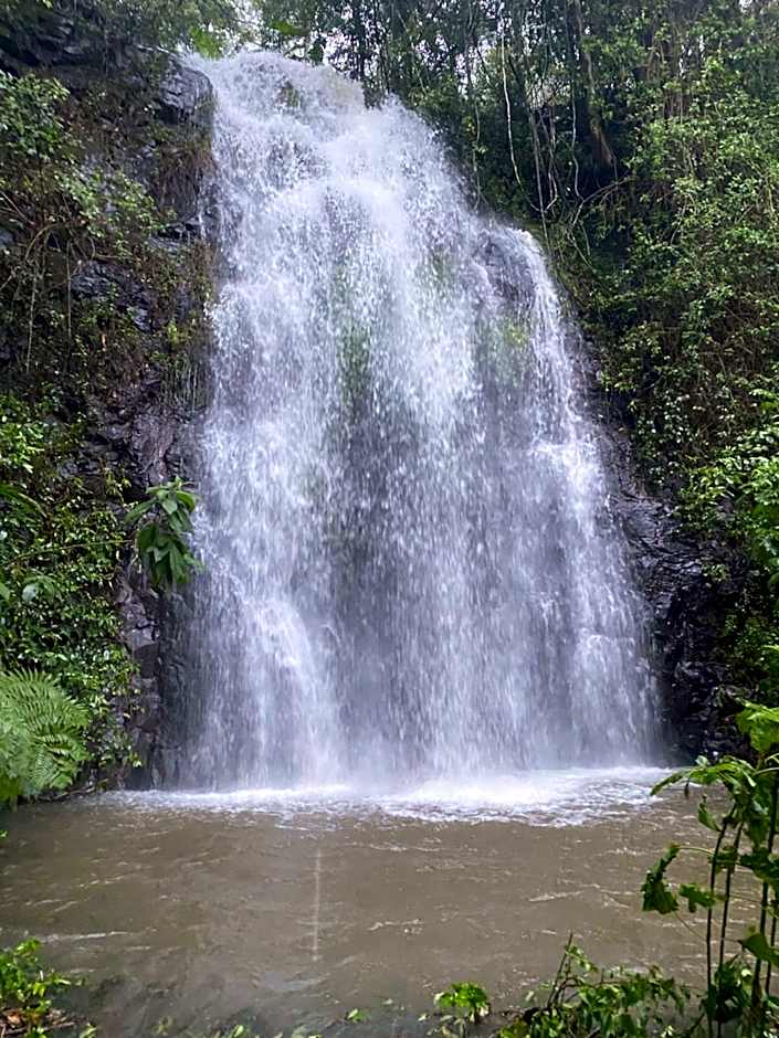 Nimbin waterfall retreat