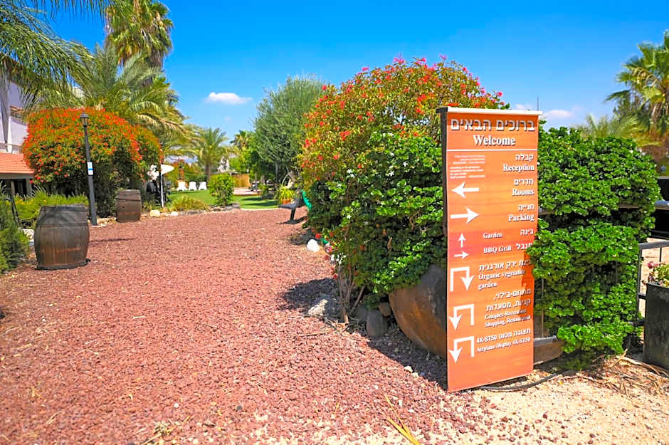 Magical in the Galilee