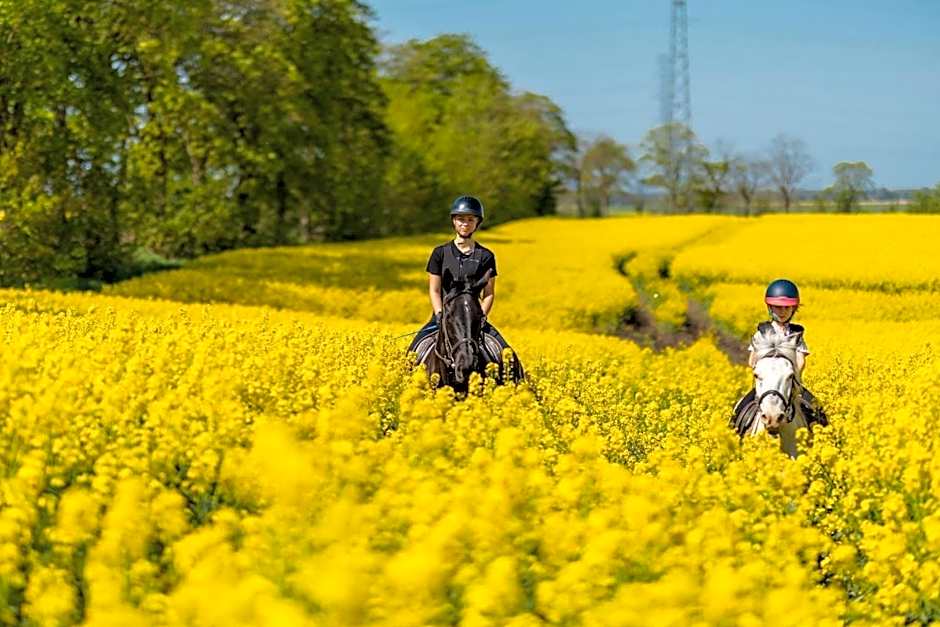 Projekt Stajnia - Nadmorski Ośrodek Jazdy Konnej - noclegi