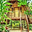 Lazy Lizard Hostel