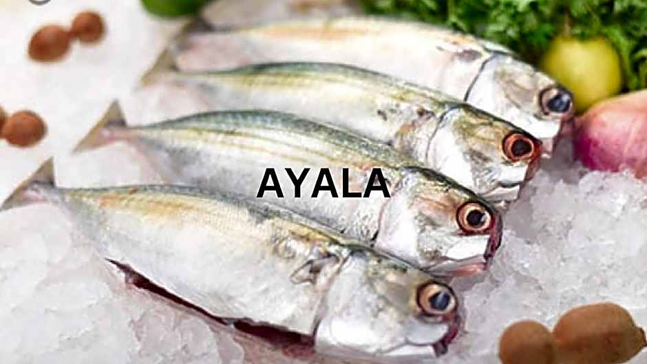 Dubai Hotel Kumarakom 