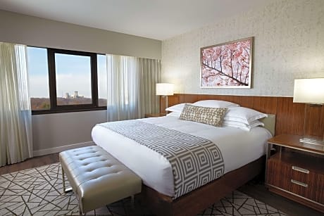 1 Bedroom King Suite With Sofabed