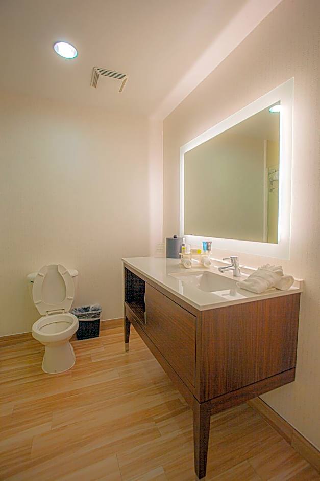 Holiday Inn & Suites Houston North Spring By IHG