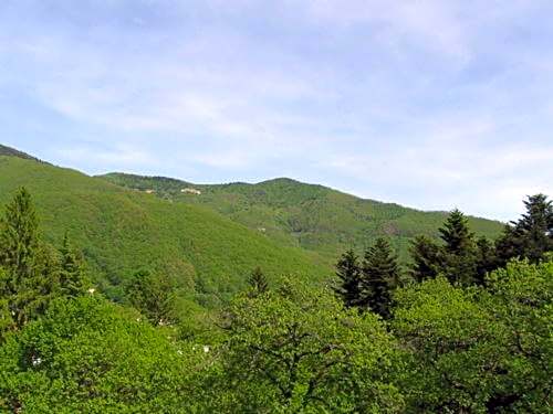 Albergo Ristorante Guidi