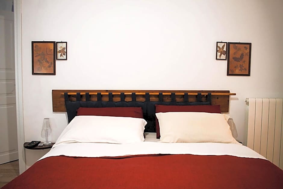 Daffodil in Roma San Pietro