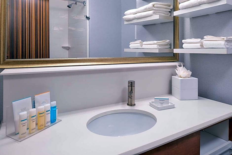 Hampton Inn By Hilton & Suites Denver-Speer Boulevard