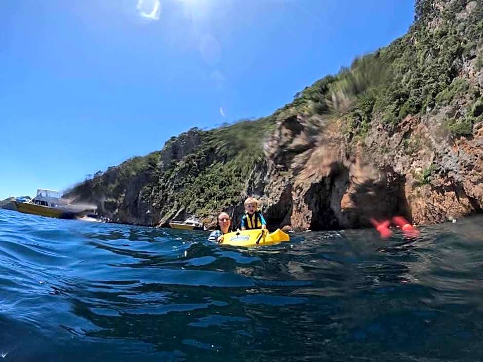 Absolute Beach front-Tutukaka Harbour