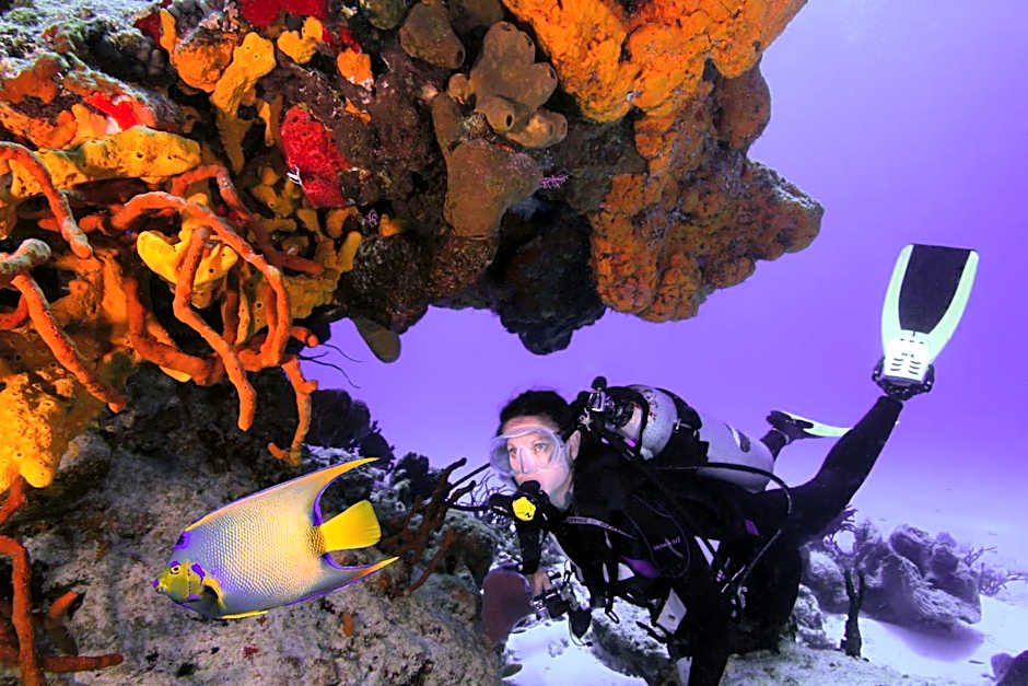 Cozumel Palace - All Inclusive