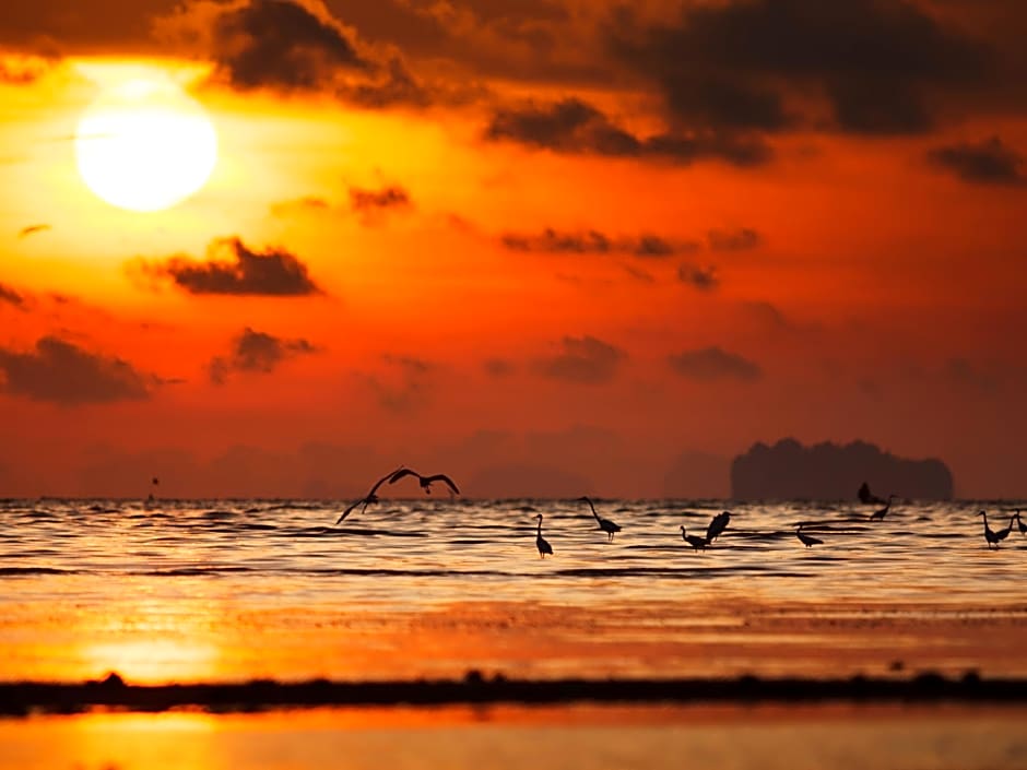 Ibis Styles Phuket City