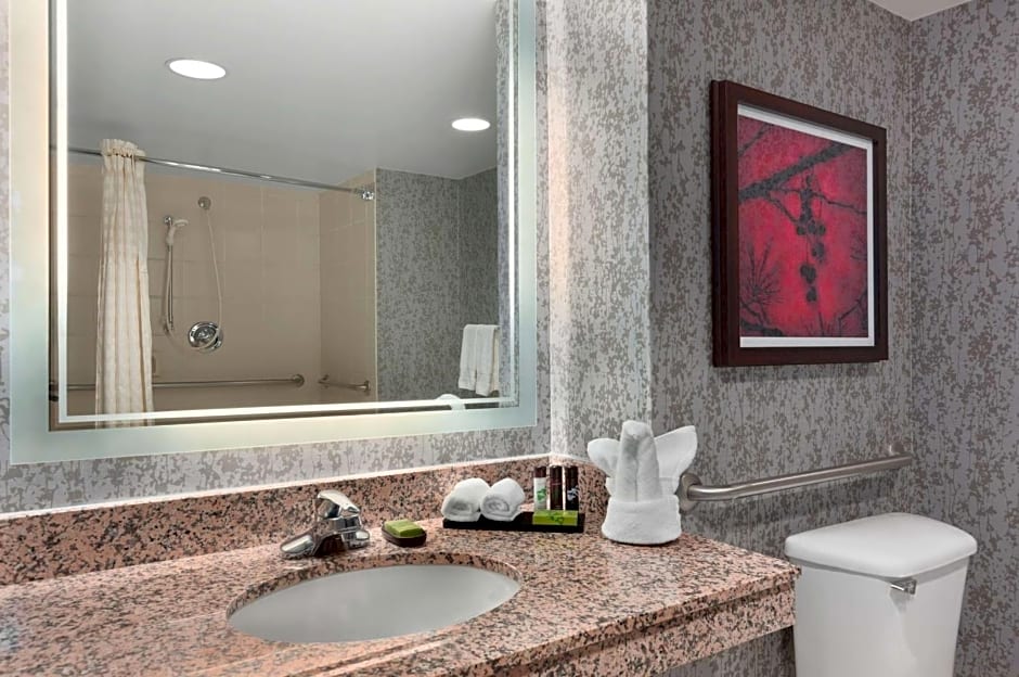 Embassy Suites by Hilton Dulles Airport