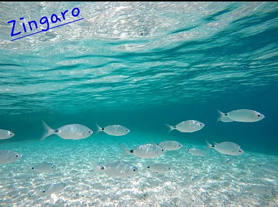 Mariposa Bed & Breakfast – San Vito Lo Capo, CA