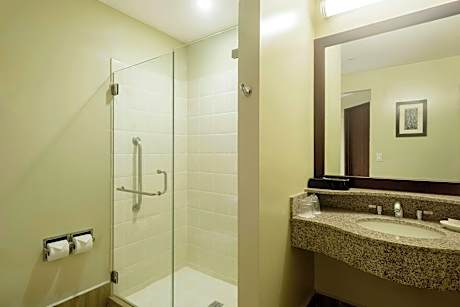 Superior Room, 1 King Bed