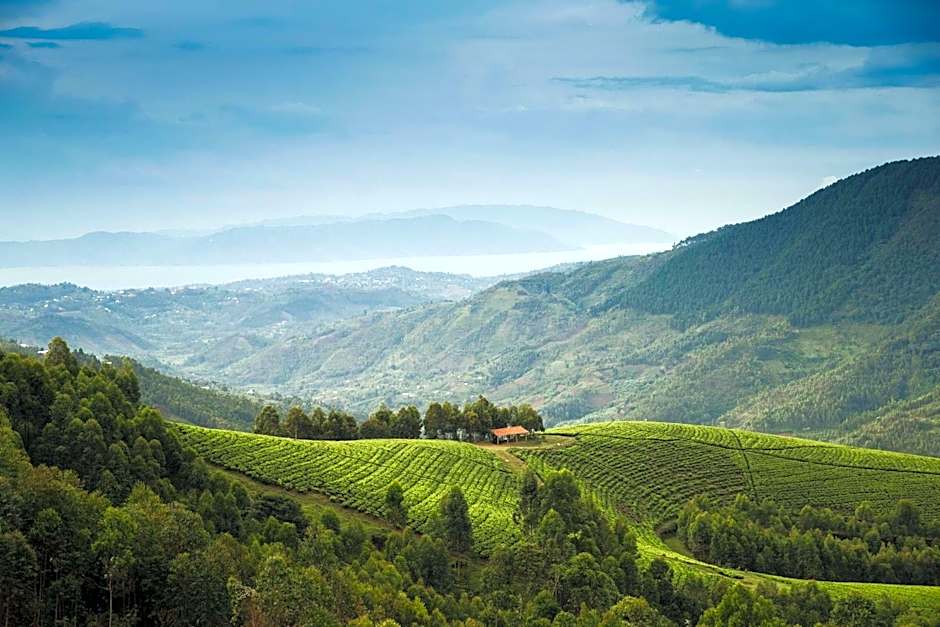 One and Only Nyungwe House