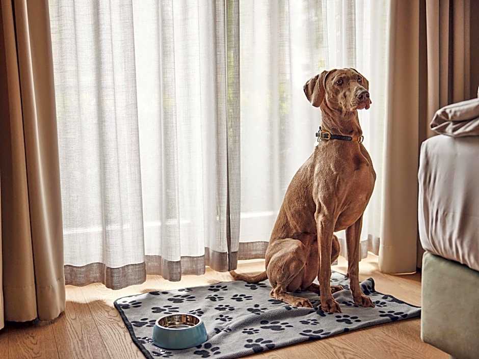 Steigenberger Hotel Treudelberg Hamburg