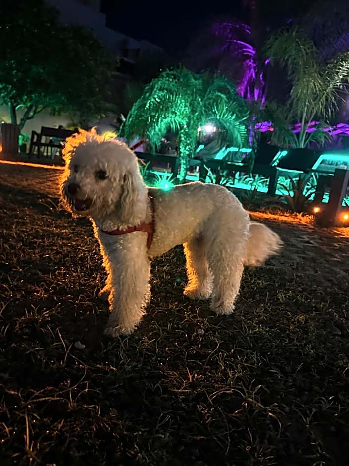 Hotel Termal Emperatriz Termas de Río Hondo
