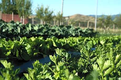 Agriturismo Fiorella