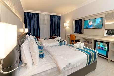 Deluxe Double or Twin Room with City View