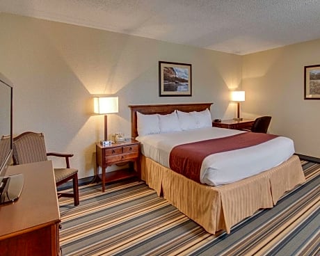 1 King Bed Non-Smoking