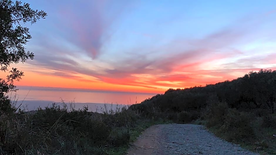 B&b Buicoville Camerota – Camerota, UT
