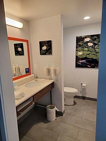 1 King Water View Suitenonsmoking