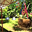 Yaxche Centro Hostal y Camping