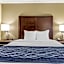 Comfort Inn Sunnyvale - Silicon Valley