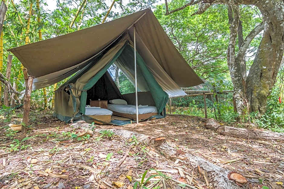 Distant Relatives Ecolodge & Backpackers